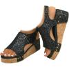 Paillettes Noires