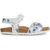 C1m4b Lt Ivory Avio