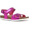 C8002 Fuchsia